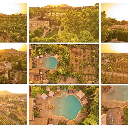 Agroturismo Sa Vinya Des Convent Inca  Ngoại thất bức ảnh
